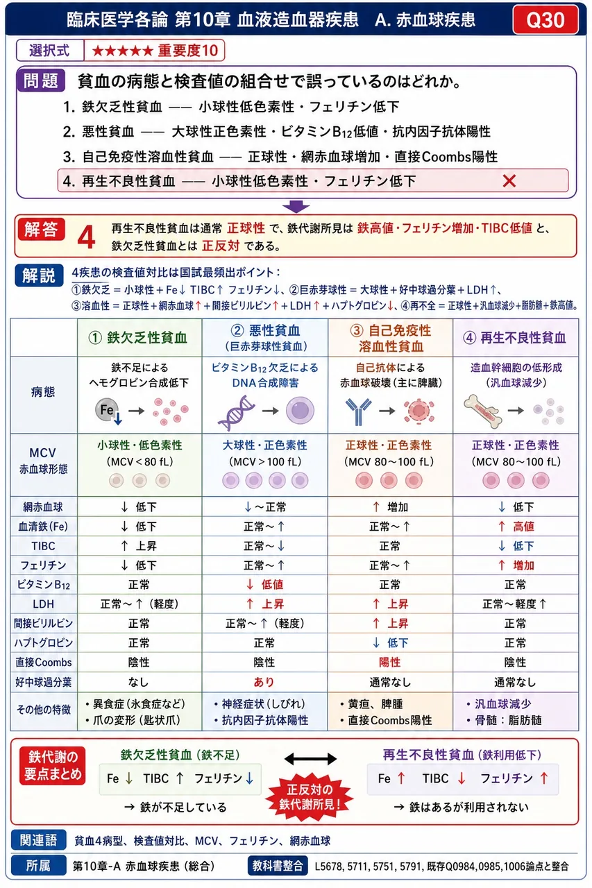 貧血の病態と検査値の組合せで**誤っている**のはどれか。 解説図
