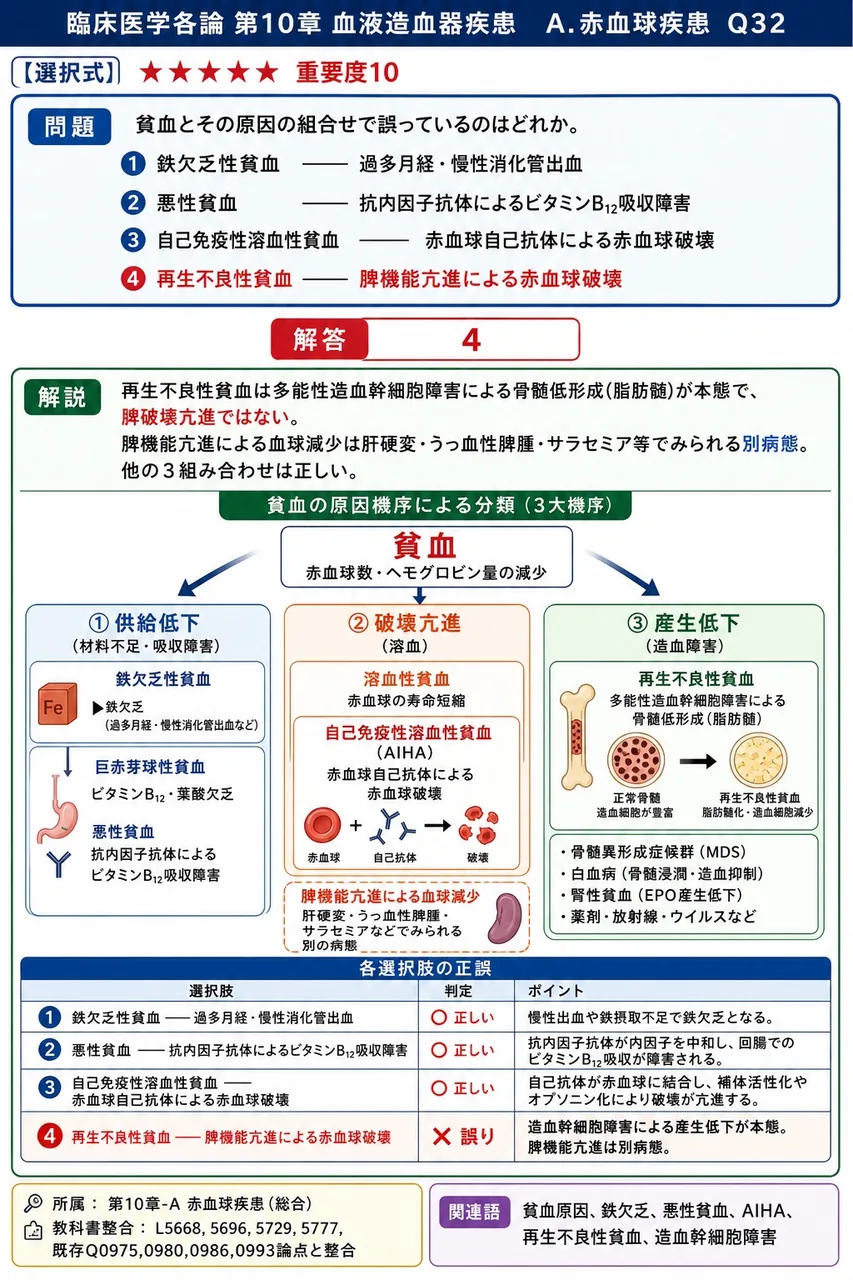 貧血とその原因の組合せで**誤っている**のはどれか。 解説図