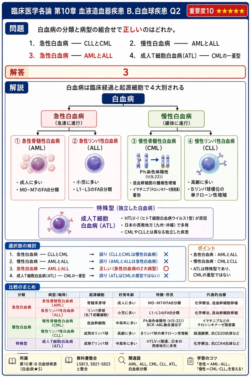 白血病の分類と病型の組合せで**正しい**のはどれか。 解説図