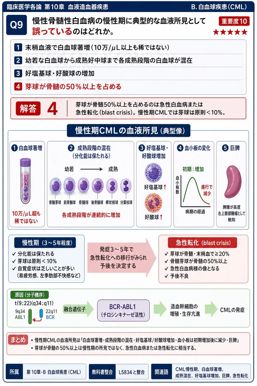慢性骨髄性白血病の慢性期に典型的な血液所見として**誤っている**のはどれか。 解説図