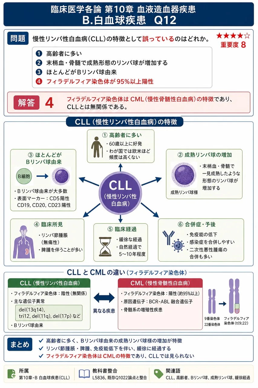 慢性リンパ性白血病(CLL)の特徴として**誤っている**のはどれか。 解説図