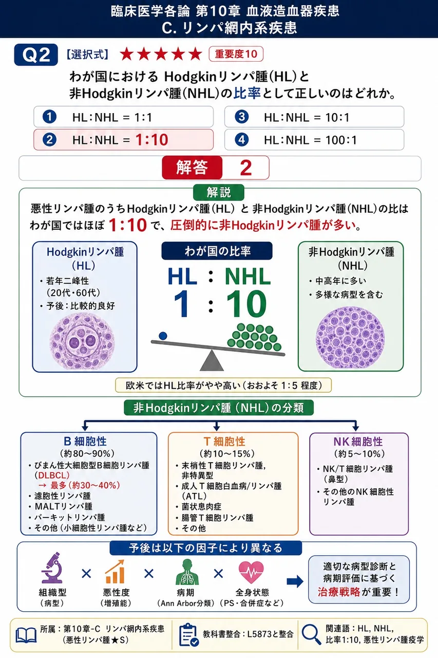 わが国における Hodgkinリンパ腫(HL)と非Hodgkinリンパ腫(NHL)の比率として**正しい**のはどれか。 解説図