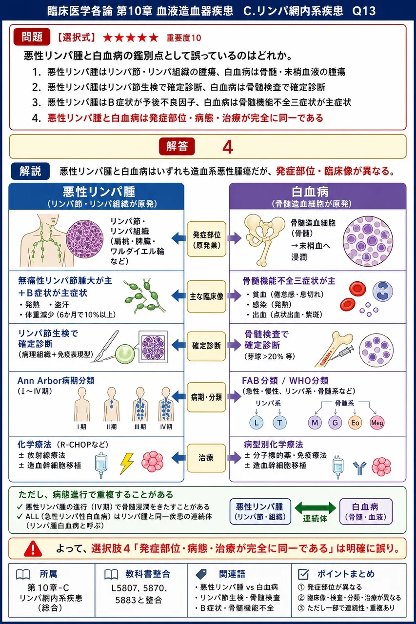 悪性リンパ腫と白血病の**鑑別点**として**誤っている**のはどれか。 解説図
