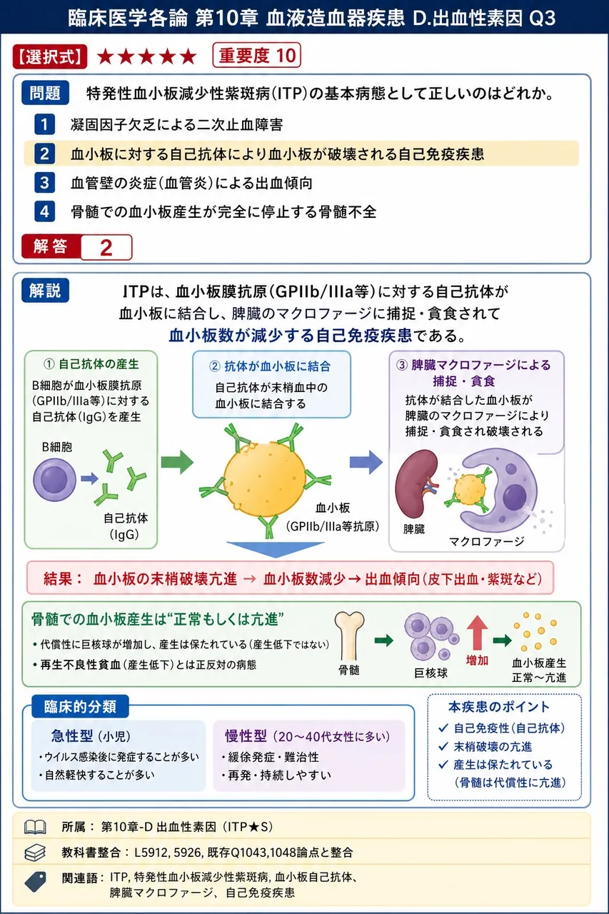 特発性血小板減少性紫斑病(ITP)の基本病態として**正しい**のはどれか。 解説図