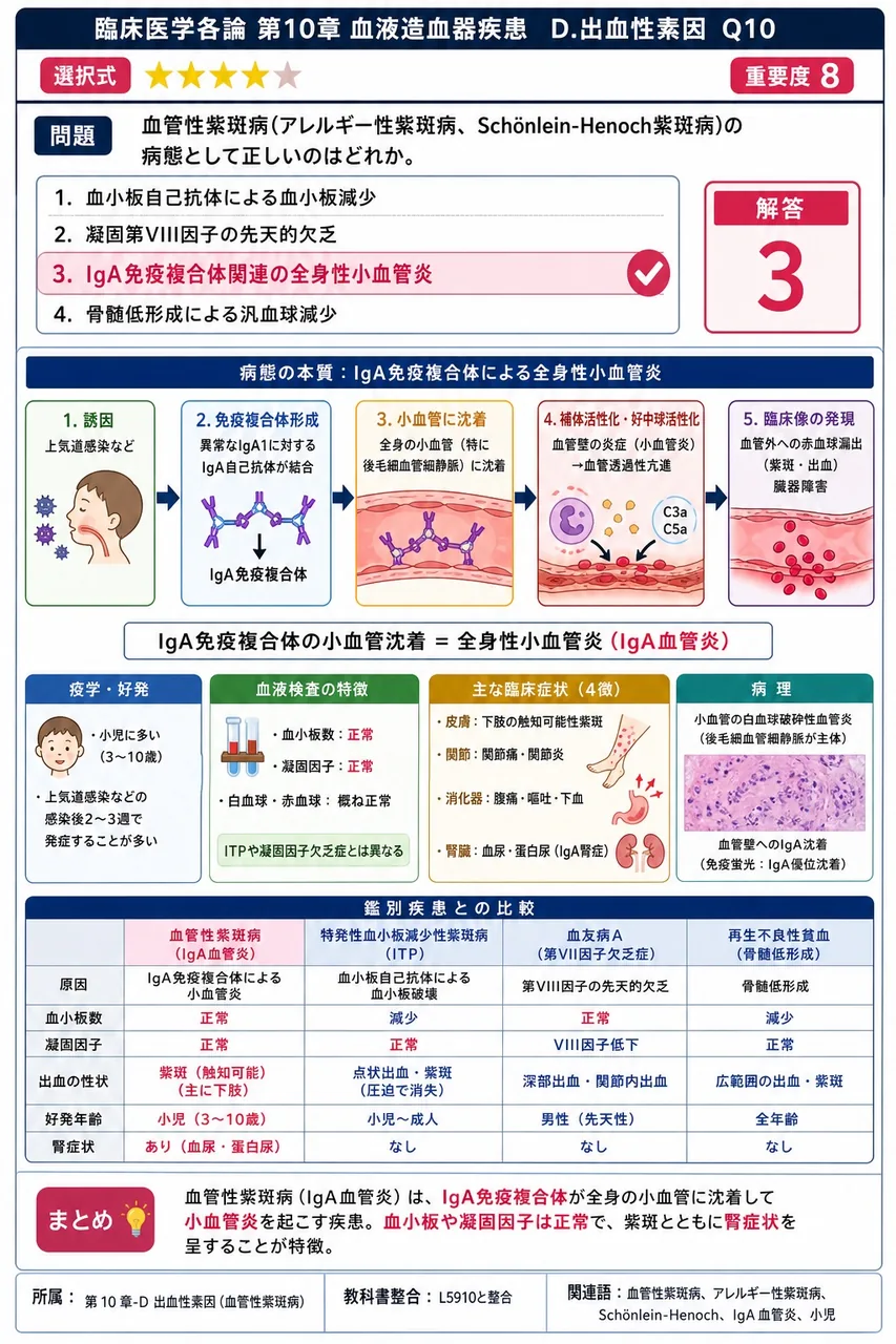 血管性紫斑病(アレルギー性紫斑病、Schönlein-Henoch紫斑病)の病態として**正しい**のはどれか。 解説図