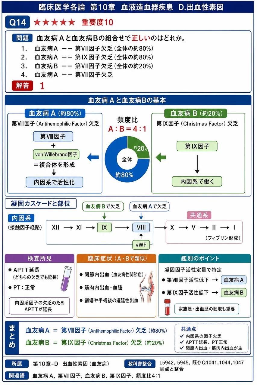 血友病Aと血友病Bの組合せで**正しい**のはどれか。 解説図