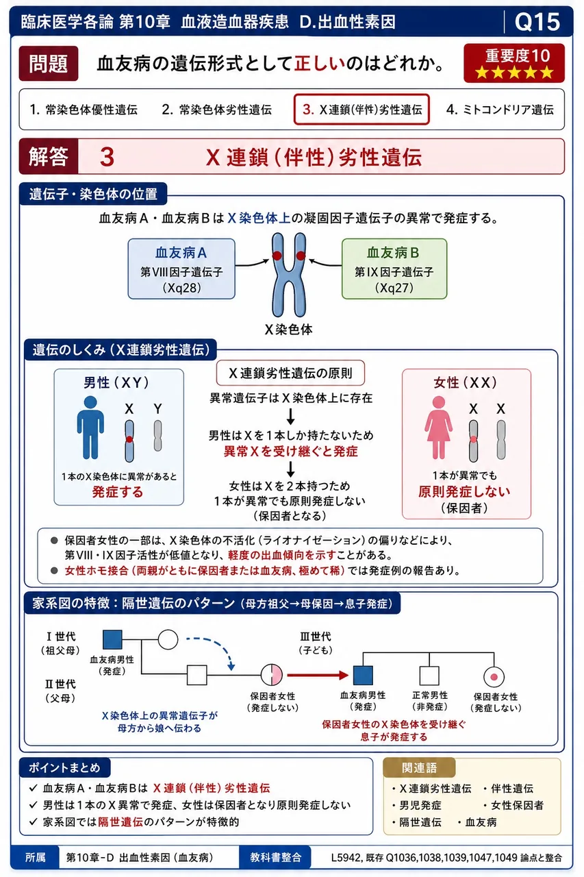 血友病の遺伝形式として**正しい**のはどれか。 解説図