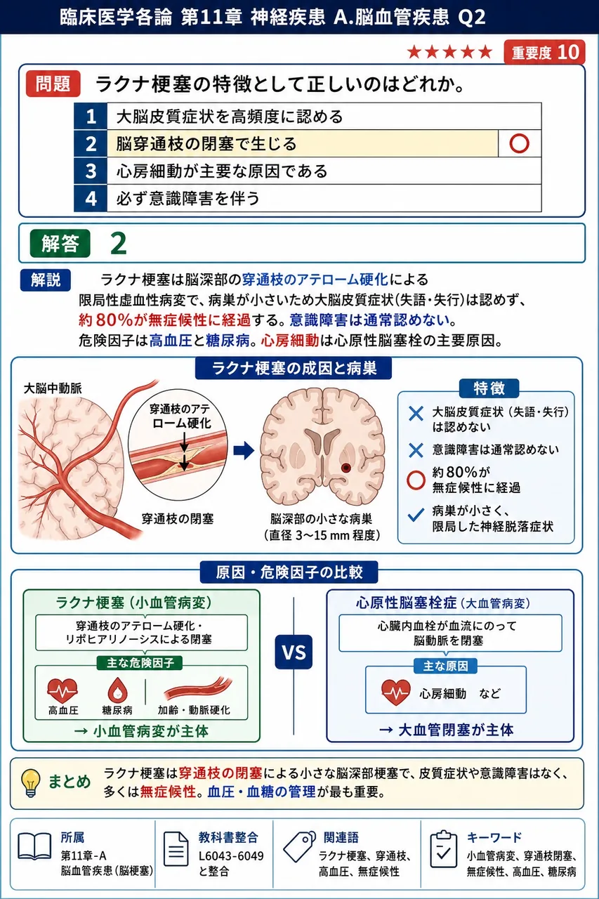 ラクナ梗塞の特徴として正しいのはどれか。 解説図