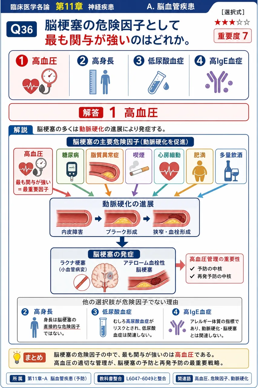 脳梗塞の危険因子として最も関与が強いのはどれか。 解説図
