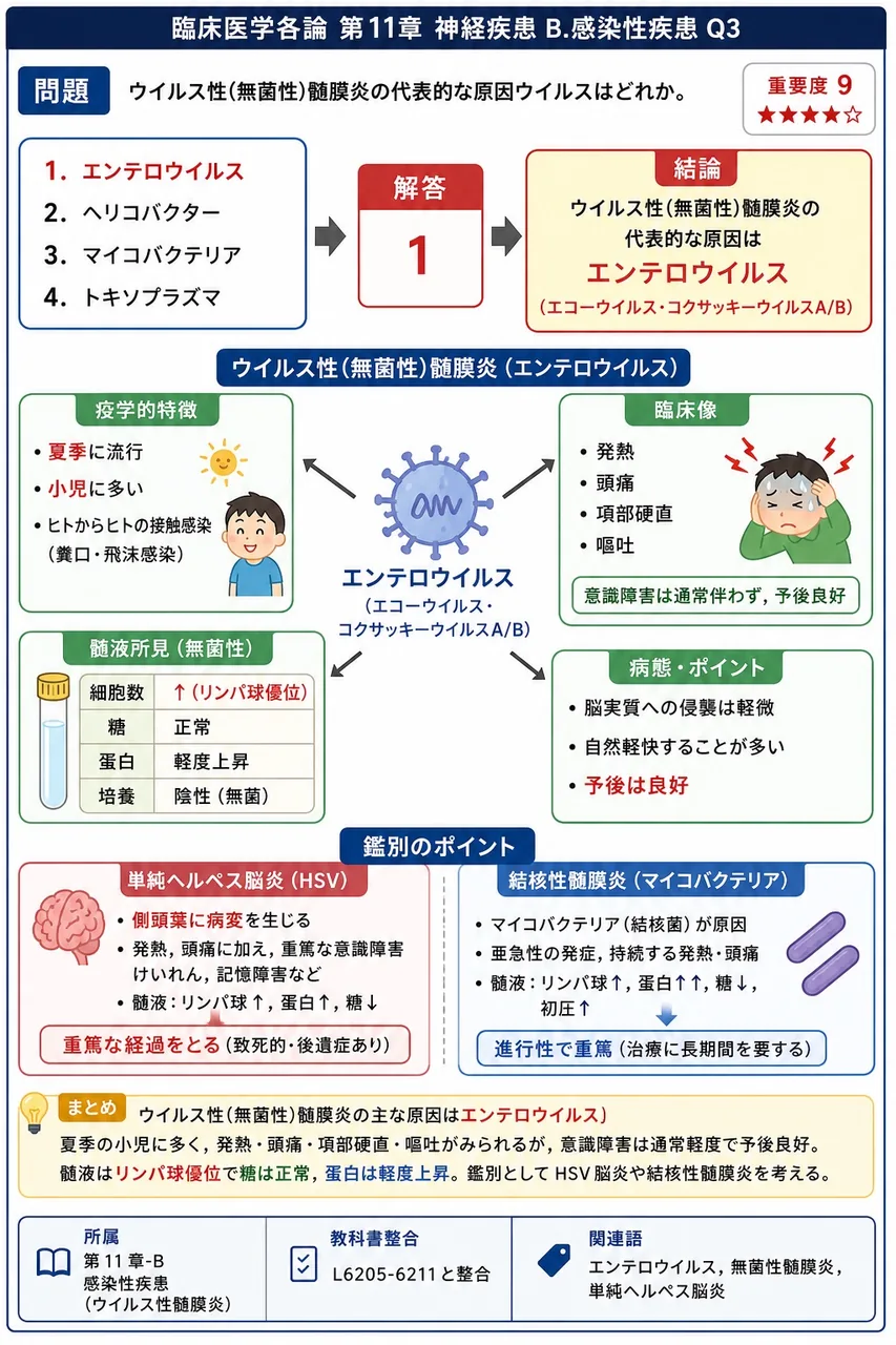 ウイルス性(無菌性)髄膜炎の代表的な原因ウイルスはどれか。 解説図