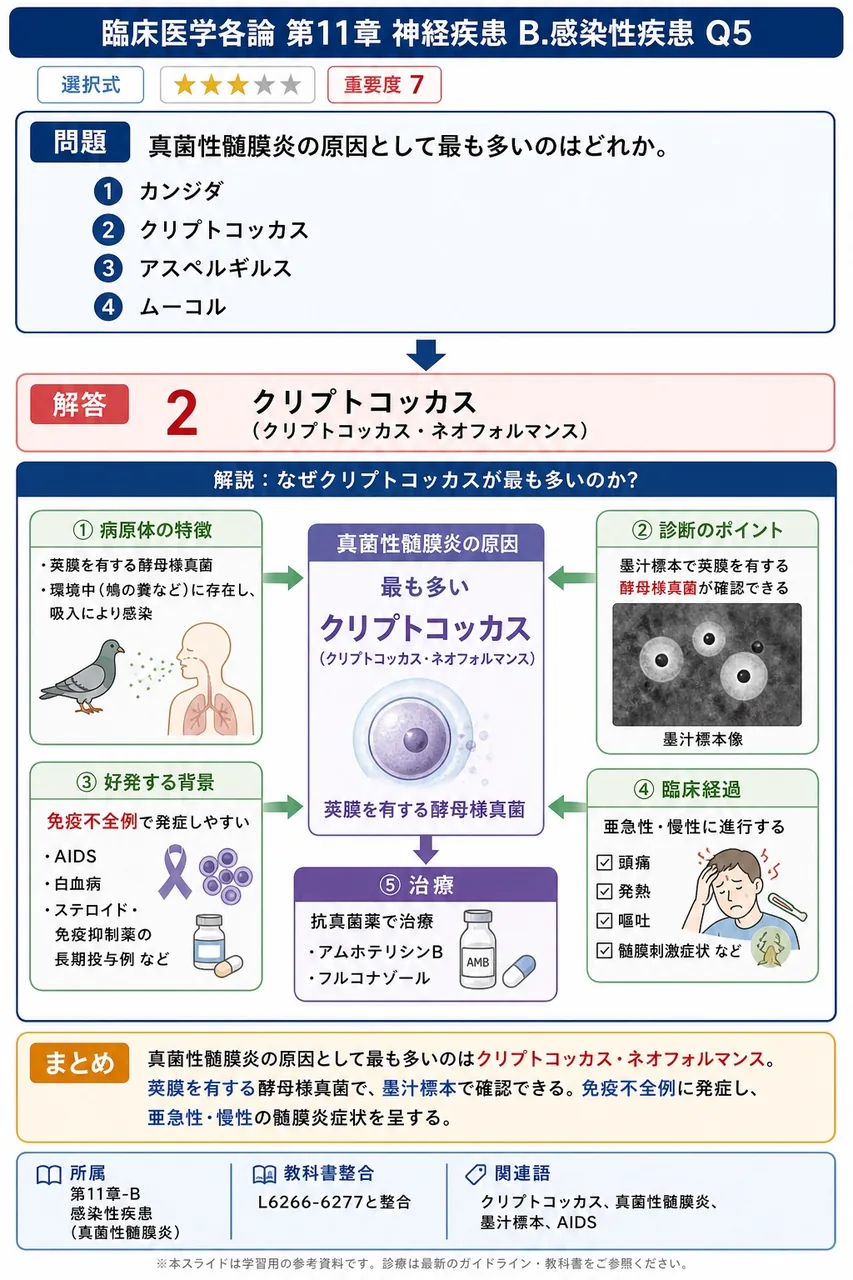 真菌性髄膜炎の原因として最も多いのはどれか。 解説図
