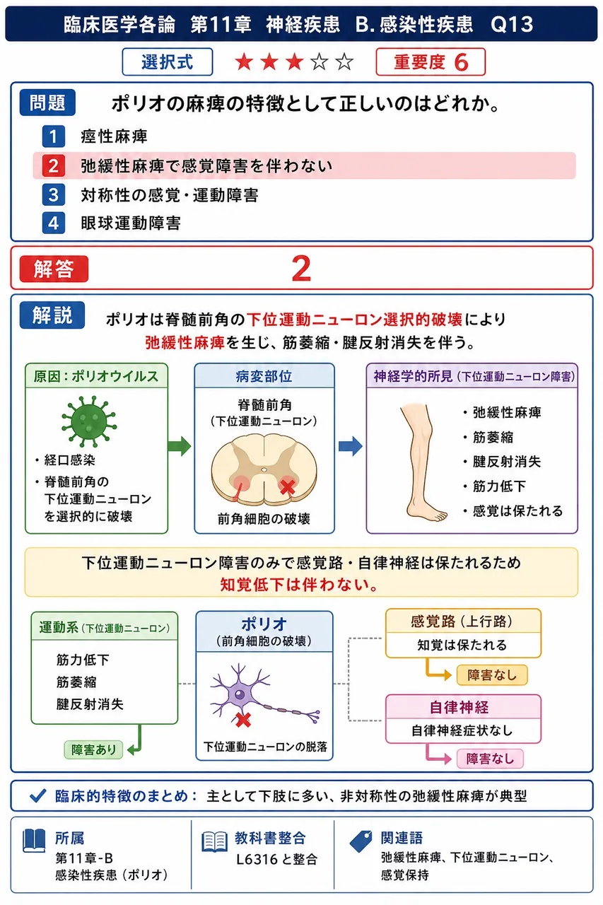 ポリオの麻痺の特徴として正しいのはどれか。 解説図