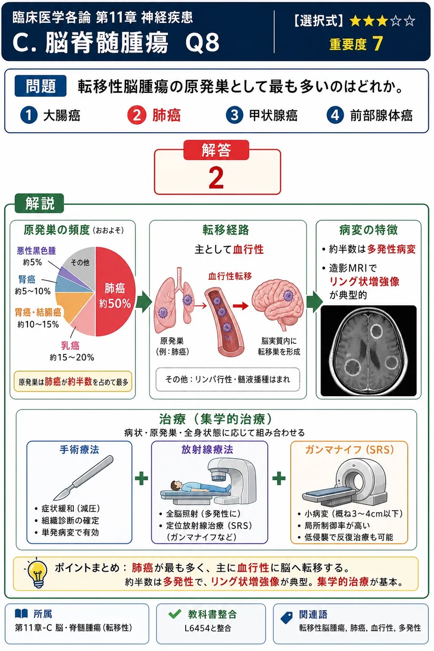転移性脳腫瘍の原発巣として最も多いのはどれか。 解説図