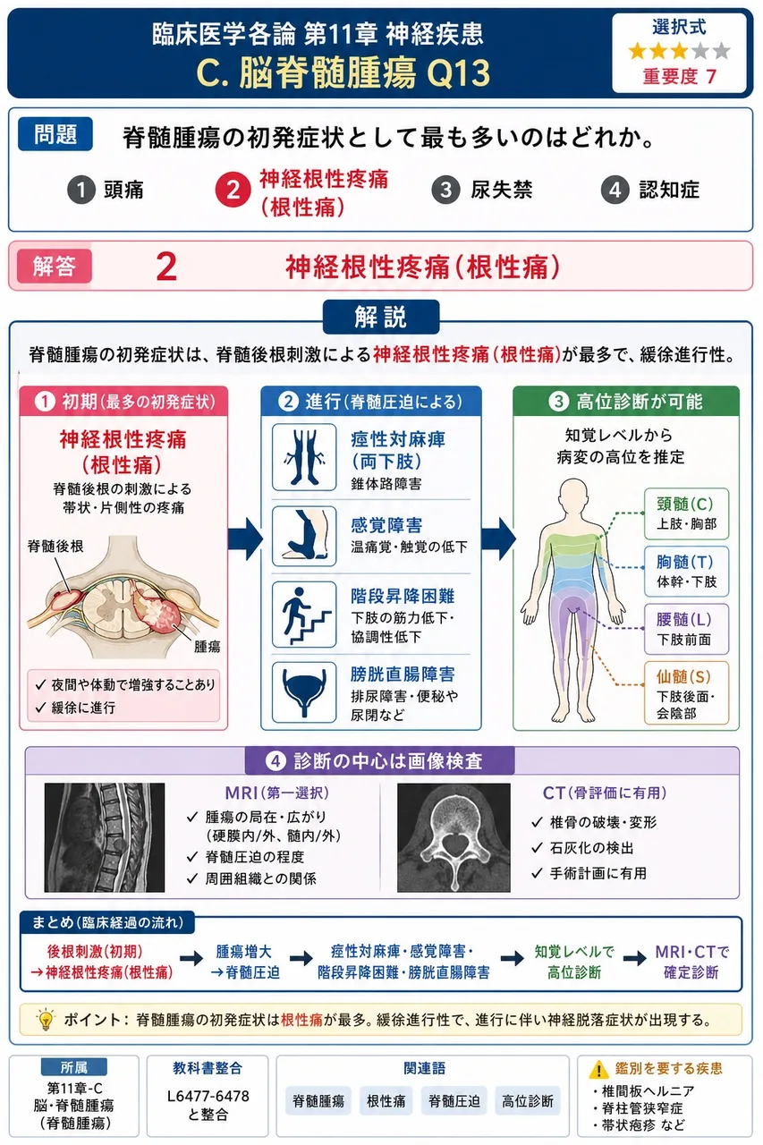 脊髄腫瘍の初発症状として最も多いのはどれか。 解説図