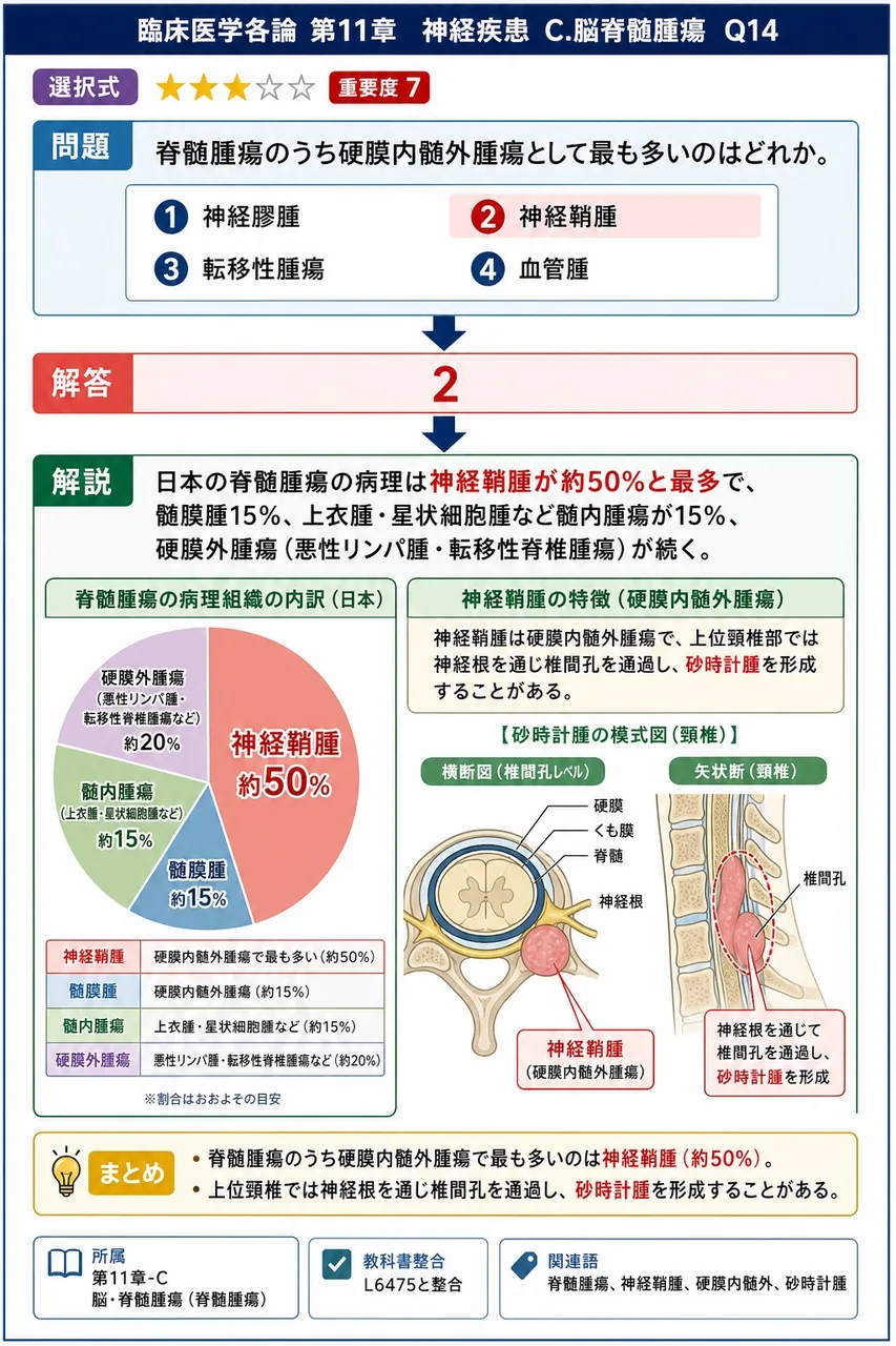 脊髄腫瘍のうち硬膜内髄外腫瘍として最も多いのはどれか。 解説図