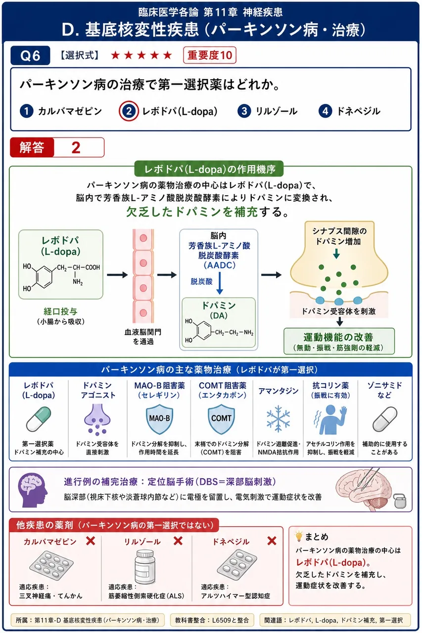 パーキンソン病の治療で第一選択薬はどれか。 解説図
