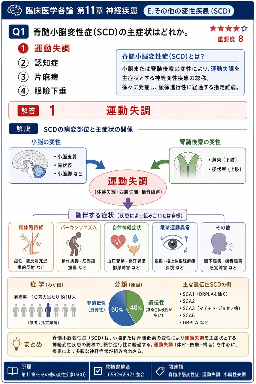 脊髄小脳変性症(SCD)の主症状はどれか。 解説図