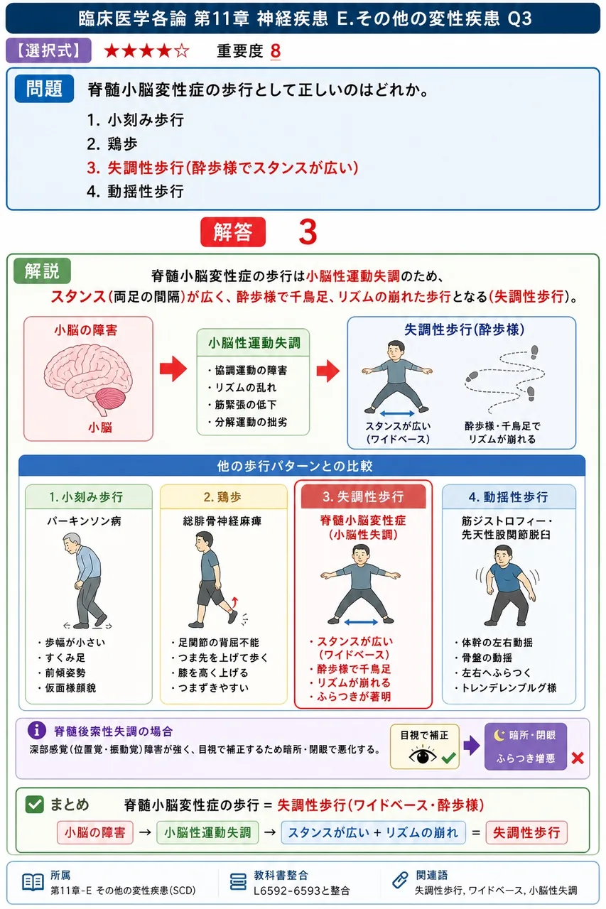 脊髄小脳変性症の歩行として正しいのはどれか。 解説図
