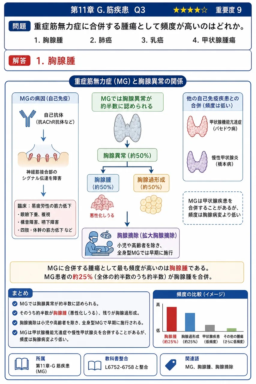 重症筋無力症に合併する腫瘍として頻度が高いのはどれか。 解説図