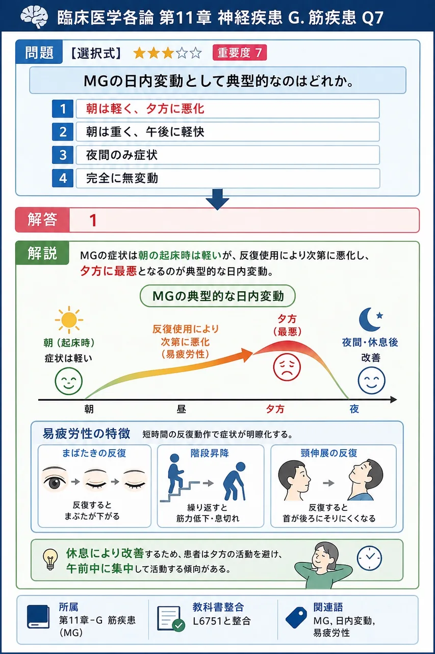 MGの日内変動として典型的なのはどれか。 解説図