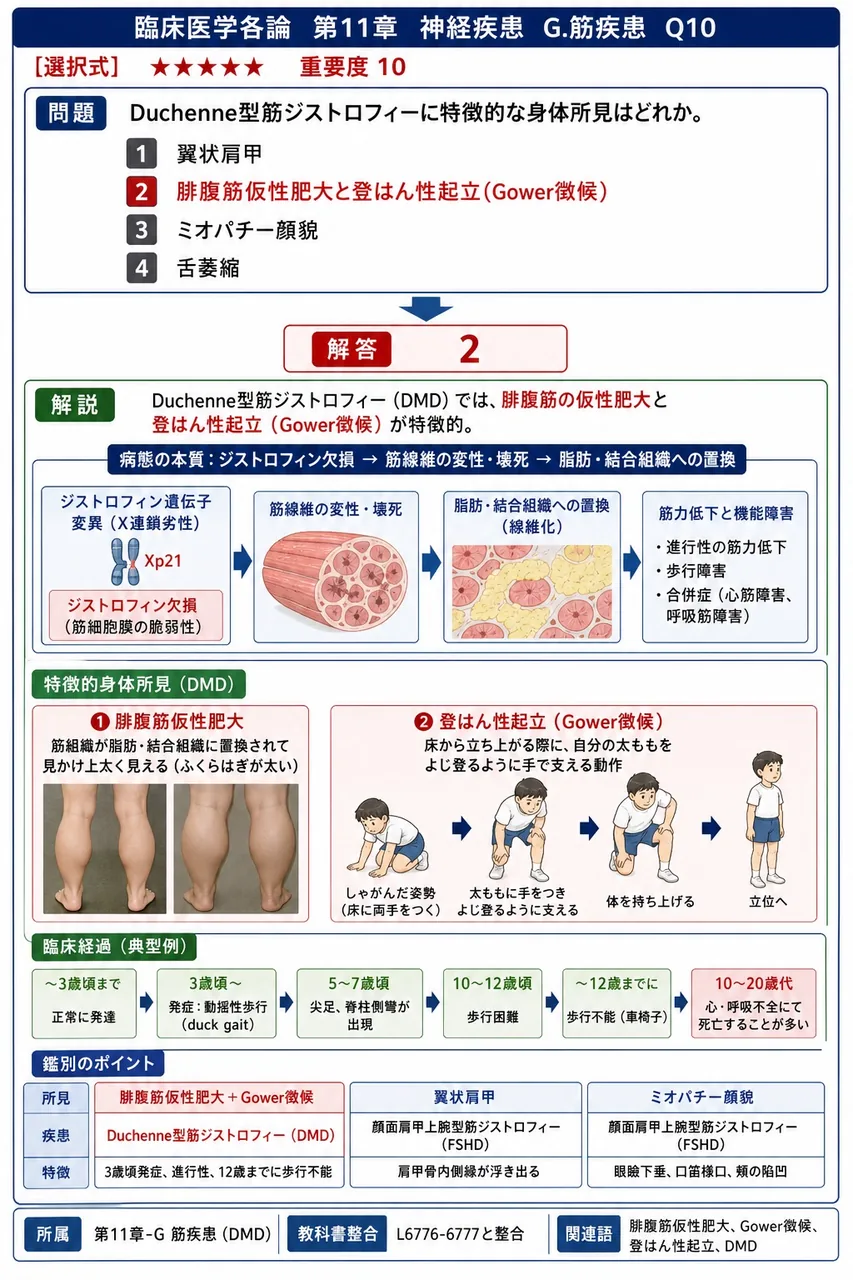 Duchenne型筋ジストロフィーに特徴的な身体所見はどれか。 解説図