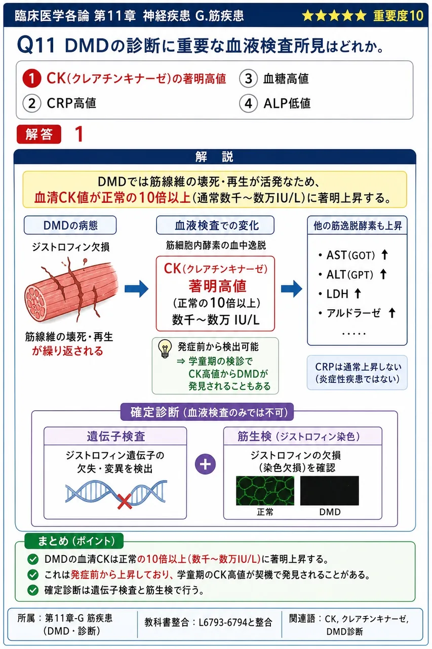 DMDの診断に重要な血液検査所見はどれか。 解説図
