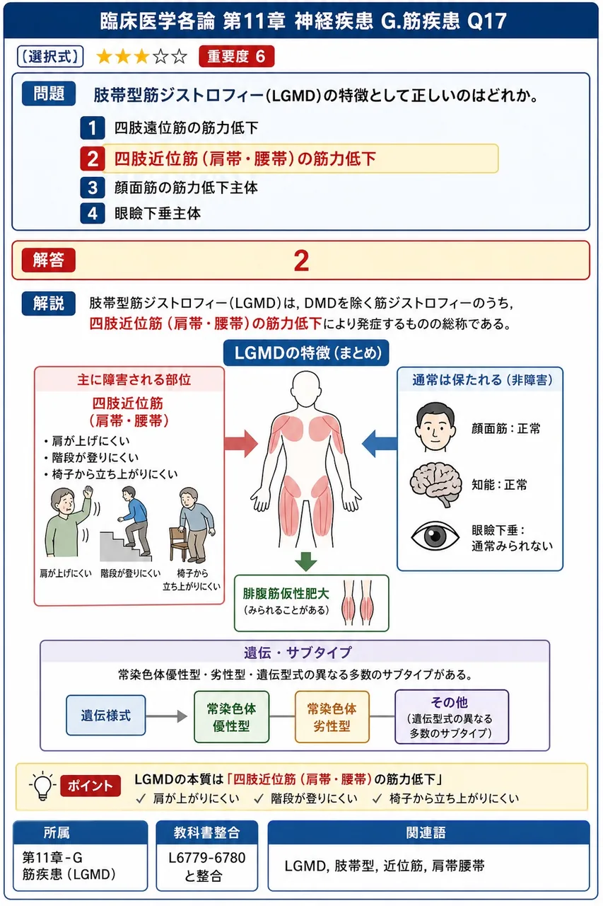 肢帯型筋ジストロフィー(LGMD)の特徴として正しいのはどれか。 解説図