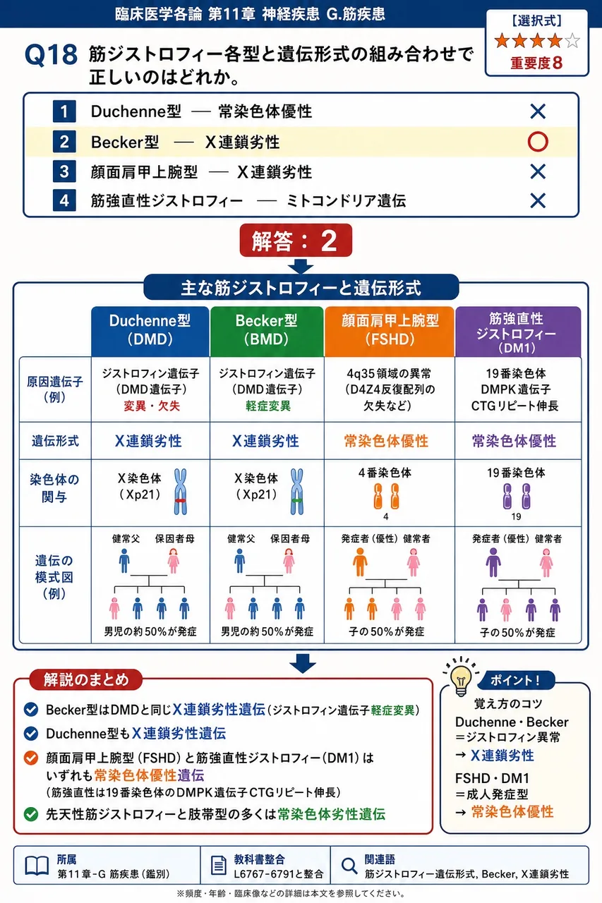 筋ジストロフィー各型と遺伝形式の組み合わせで正しいのはどれか。 解説図