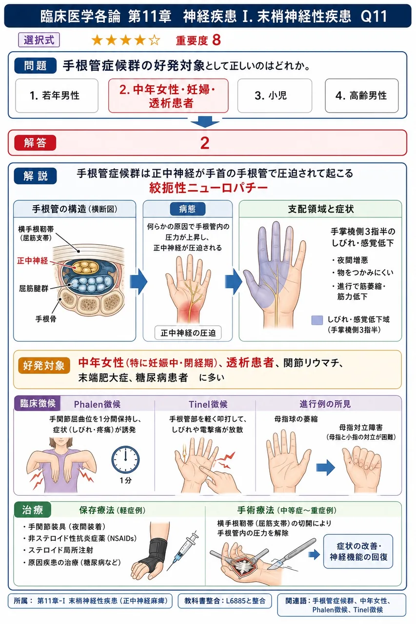 手根管症候群の好発対象として正しいのはどれか。 解説図