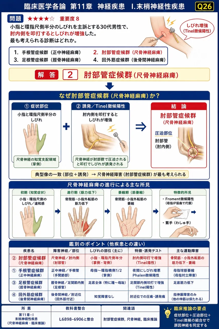 小指と環指尺側半分のしびれを主訴とする30代男性で、肘内側を叩打するとしびれが増強した。最も考えられる診断はどれか。 解説図