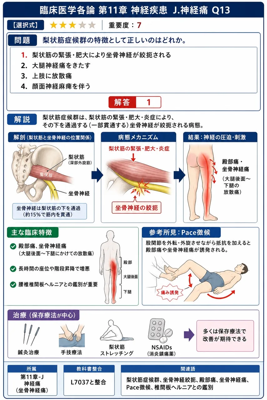 梨状筋症候群の特徴として正しいのはどれか。 解説図
