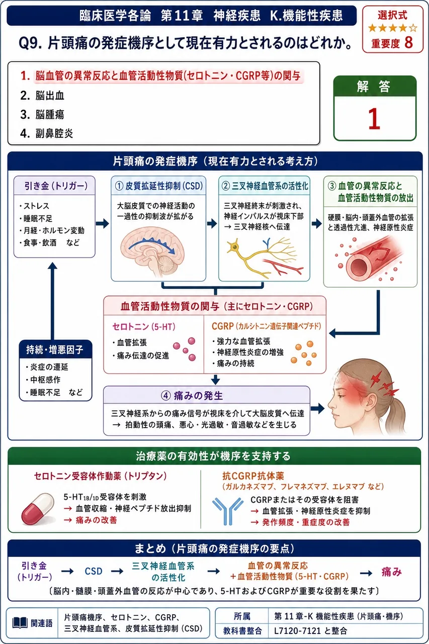 片頭痛の発症機序として現在有力とされるのはどれか。 解説図
