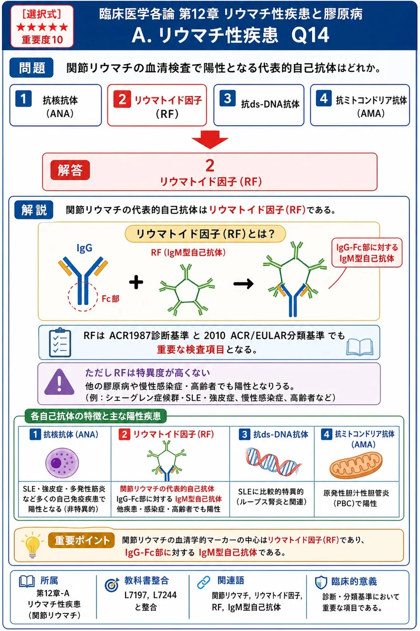 関節リウマチの血清検査で陽性となる代表的自己抗体はどれか。 解説図