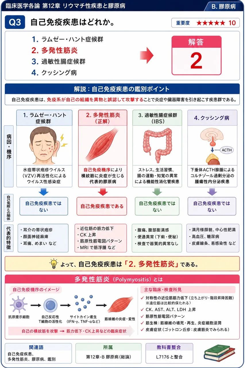 自己免疫疾患はどれか。 解説図