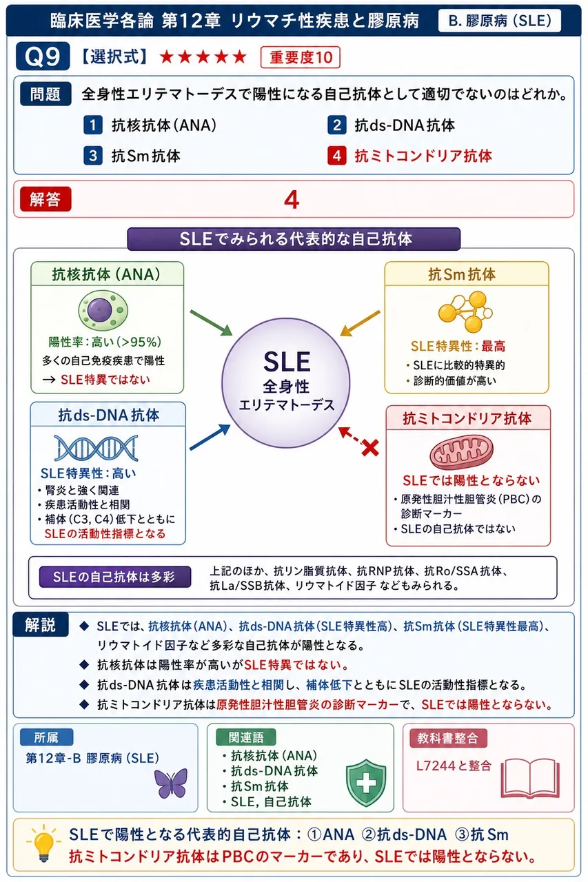 全身性エリテマトーデスで陽性になる自己抗体として適切でないのはどれか。 解説図