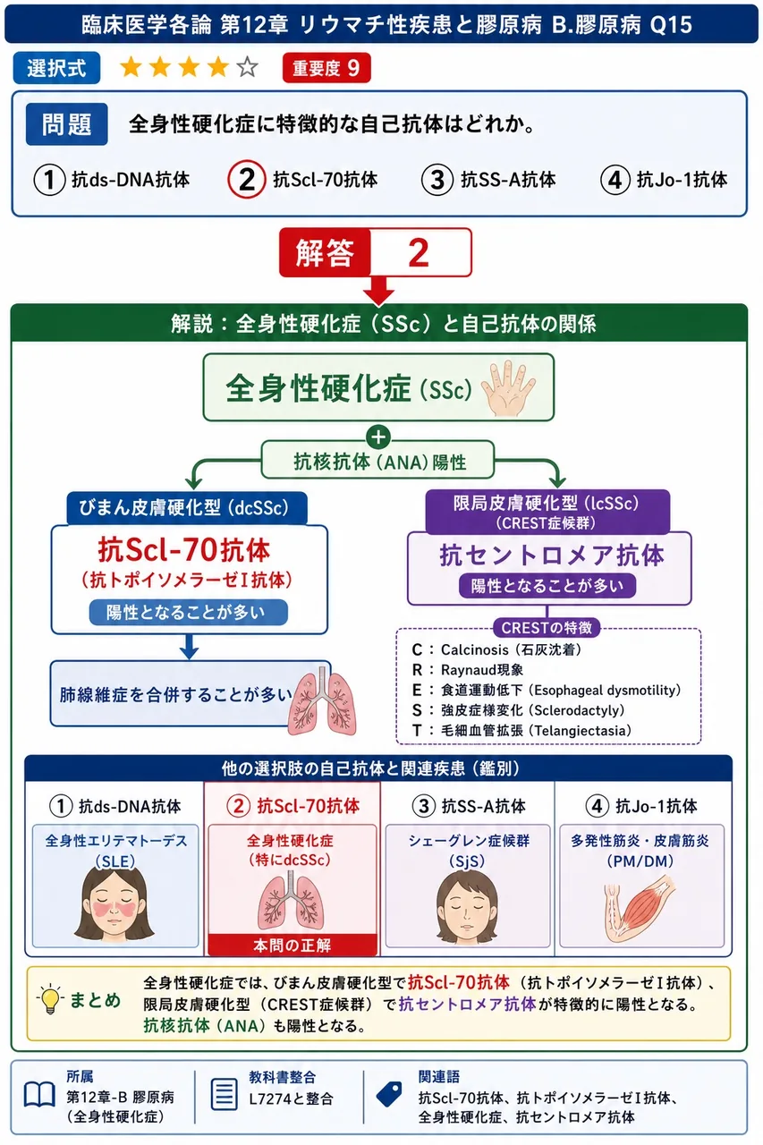 全身性硬化症に特徴的な自己抗体はどれか。 解説図