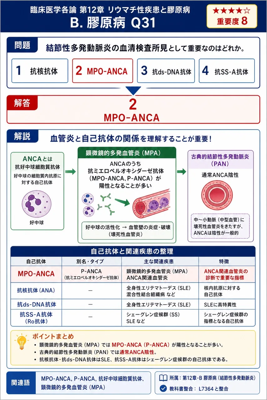 結節性多発動脈炎の血清検査所見として重要なのはどれか。 解説図
