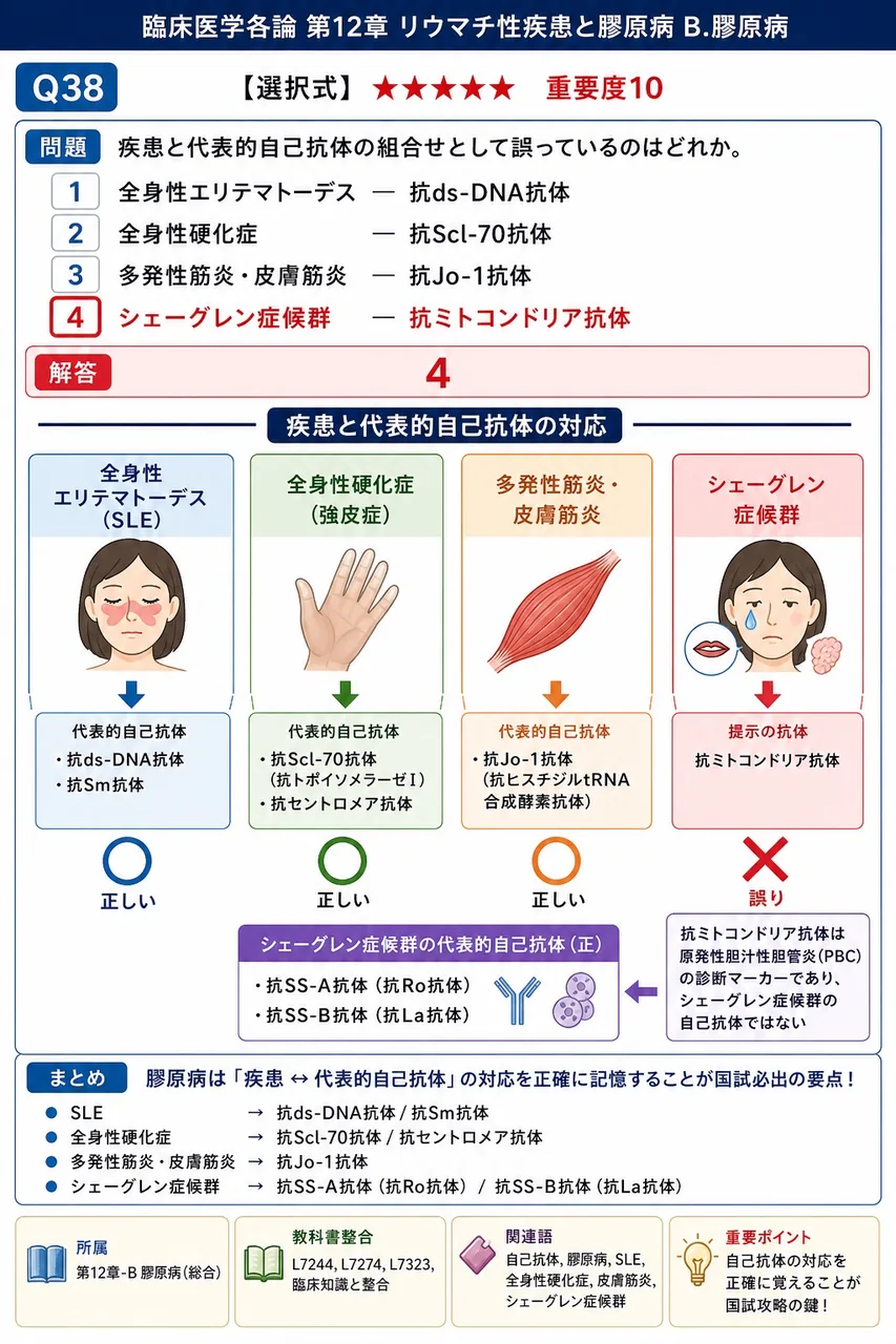 疾患と代表的自己抗体の組合せとして誤っているのはどれか。 解説図
