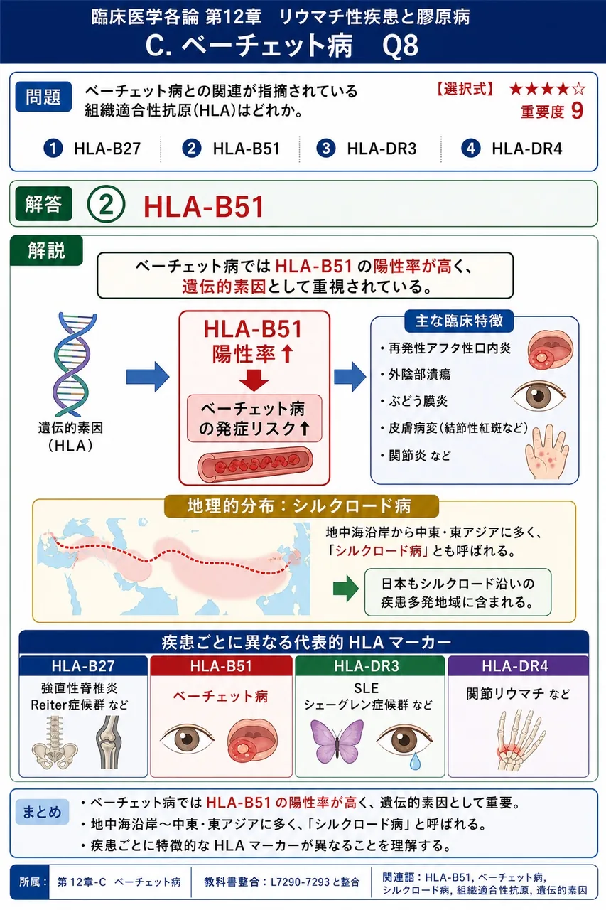 ベーチェット病との関連が指摘されている組織適合性抗原(HLA)はどれか。 解説図