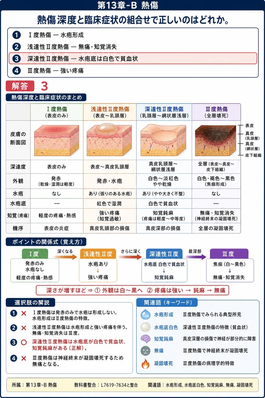 熱傷深度と臨床症状の組合せで正しいのはどれか。 解説図