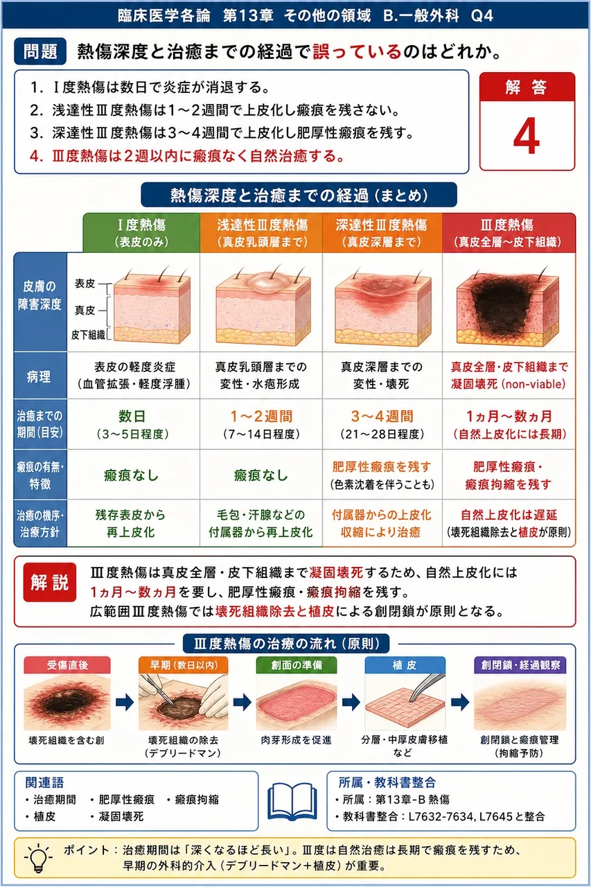 熱傷深度と治癒までの経過で誤っているのはどれか。 解説図