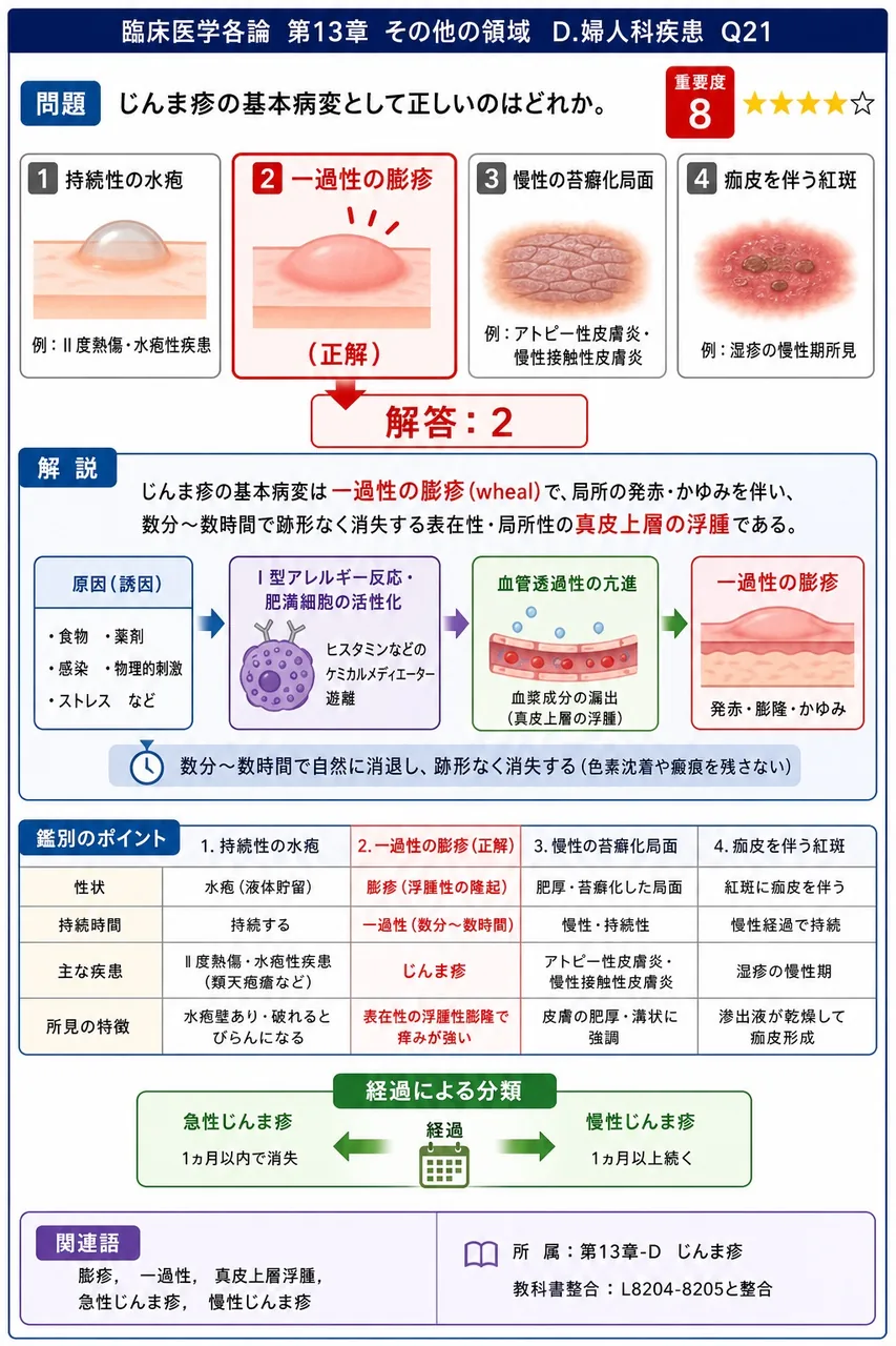 じんま疹の基本病変として正しいのはどれか。 解説図
