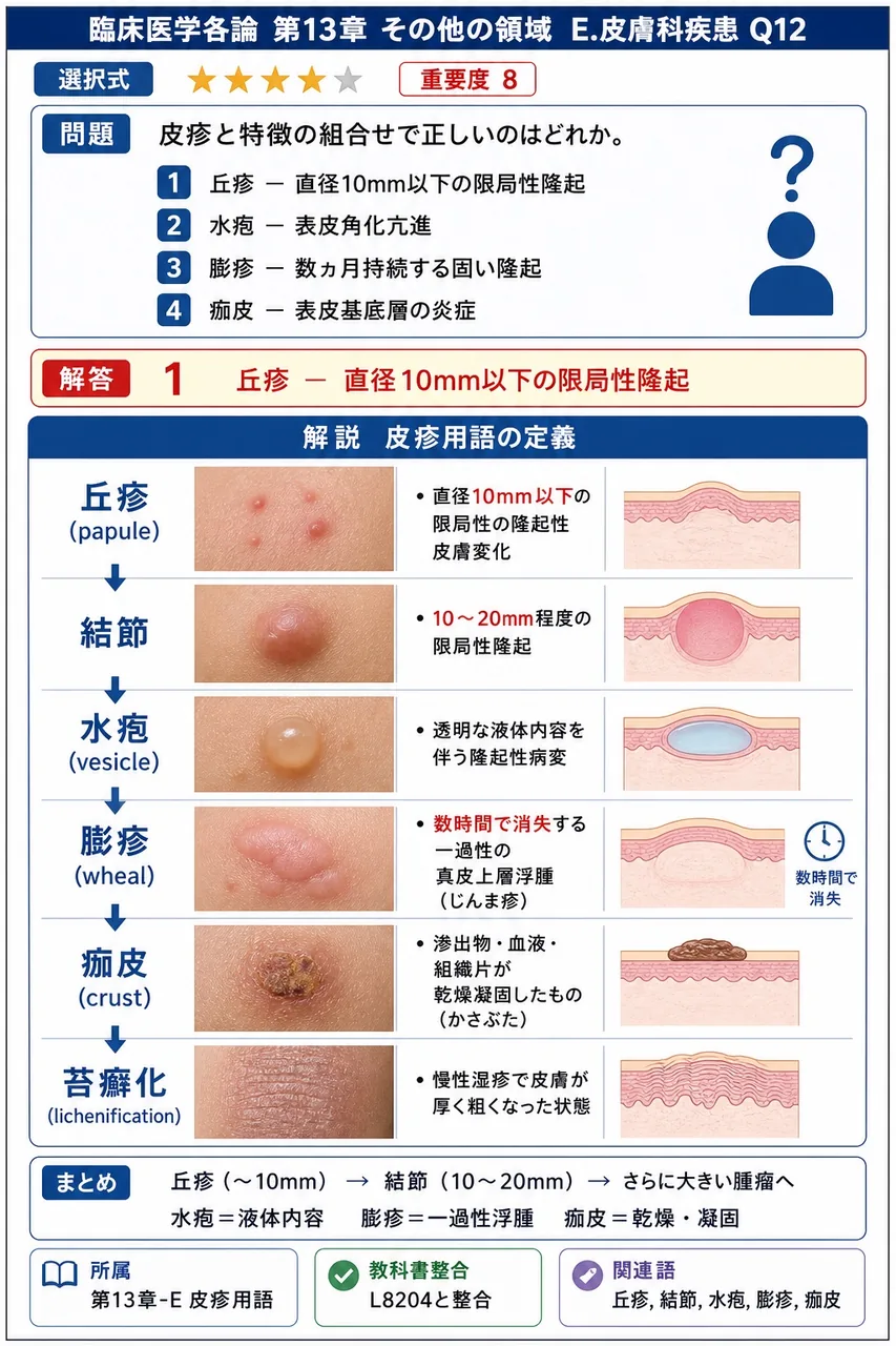 皮疹と特徴の組合せで正しいのはどれか。 解説図