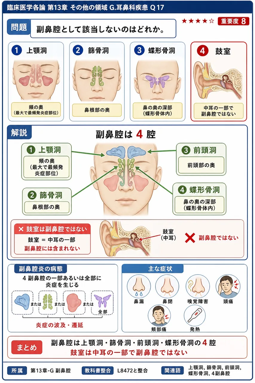 副鼻腔として該当しないのはどれか。 解説図