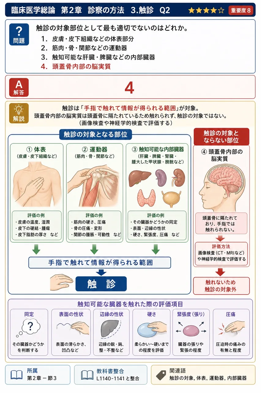触診の対象部位として最も適切でないのはどれか。 解説図