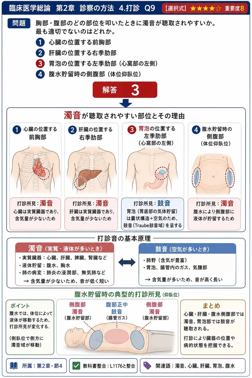 胸部・腹部のどの部位を叩いたときに濁音が聴取されやすいか。最も適切でないのはどれか。 解説図