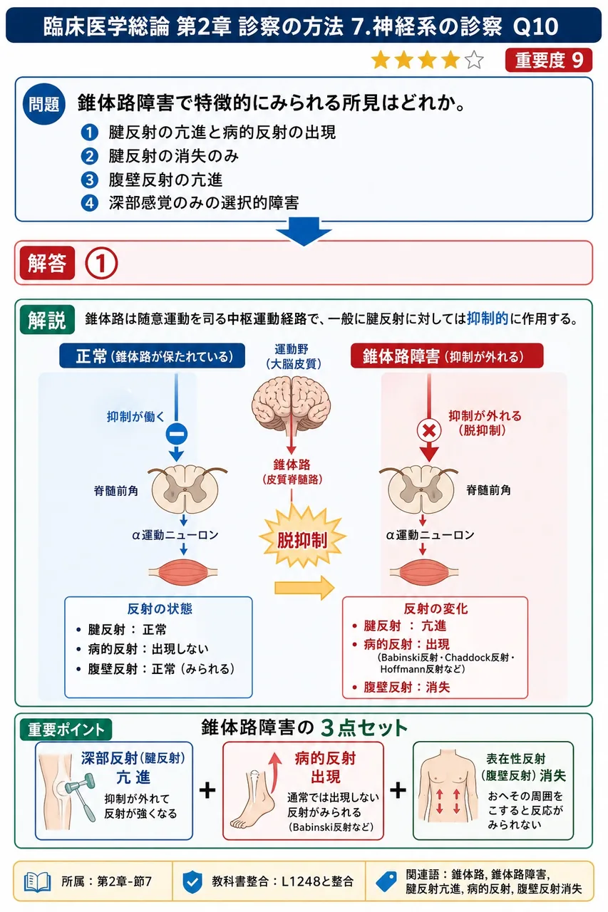 錐体路障害で特徴的にみられる所見はどれか。 解説図