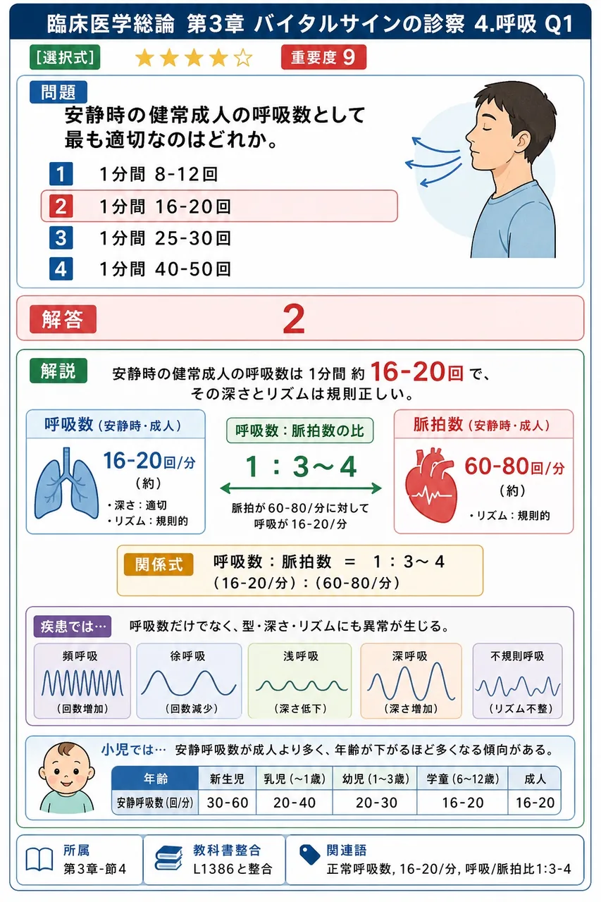 安静時の健常成人の呼吸数として最も適切なのはどれか。 解説図