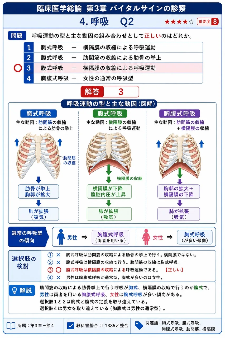呼吸運動の型と主な動因の組み合わせとして正しいのはどれか。 解説図