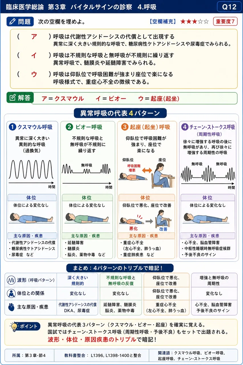 次の空欄を埋めよ。 「( ア )呼吸は代謝性アシドーシスの代償として出現する異常に深く大きい規則的な呼吸で、糖尿病性ケトアシドーシスや尿毒症でみられる。( イ )呼吸は不規則な呼吸と無呼吸が不規則に繰り返す異常呼吸で、髄膜炎や延髄障害でみられる。( ウ )呼吸は仰臥位で呼吸困難が強まり座位で楽になる呼吸様式で、重症心不全の徴候である。」 解説図